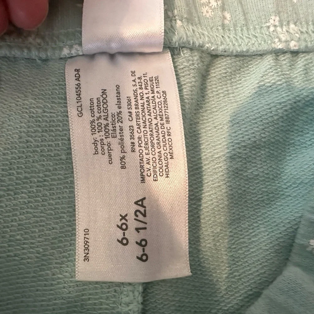 Carter’s Girl Sweatshirt and Shorts Outfit Set Bin 1